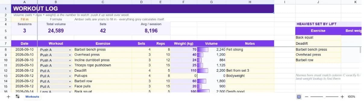 Fitness & Workout Tracker spreadsheet preview